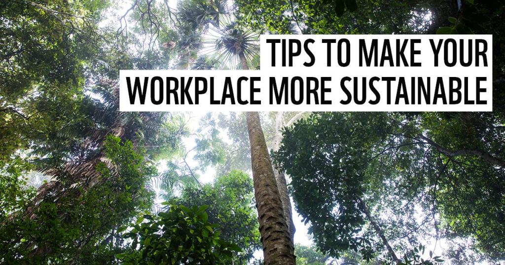 Workplace Safety and the Environment: Best Practices for Sustainable Workplaces